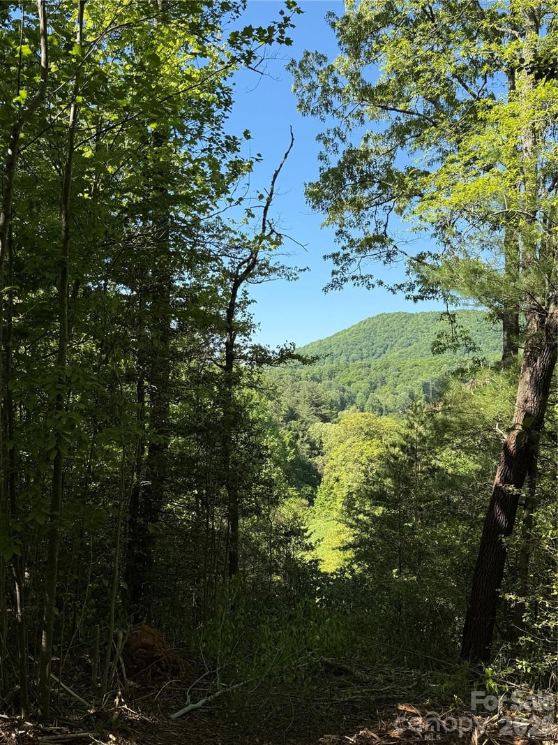 Lot # 3 West Legacy Drive Apt 3, Hendersonville, NC -  - $179,000