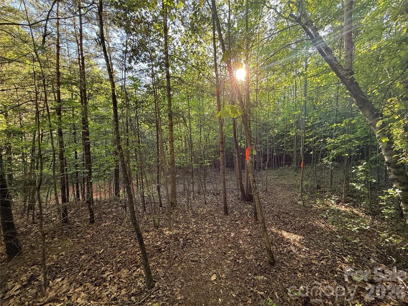 Lot # 5 West Legacy Drive Apt 5, Hendersonville, NC -  - $129,000