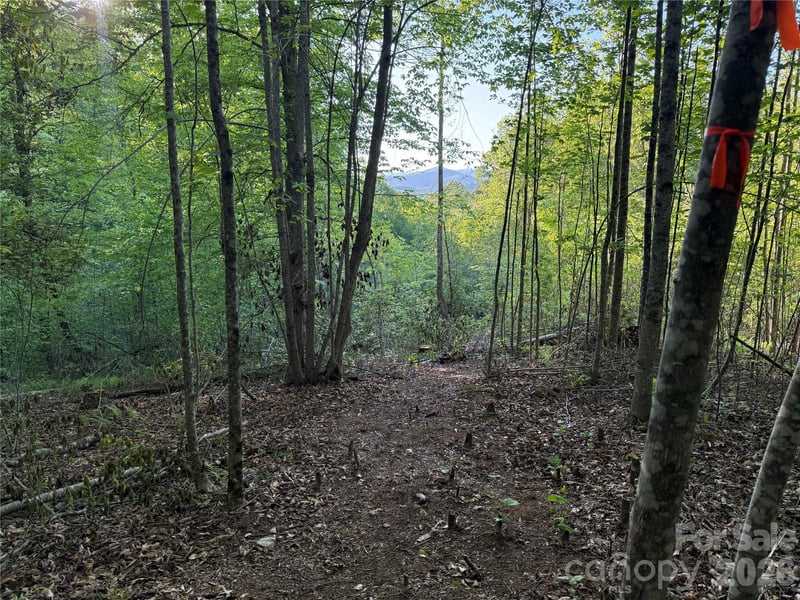 Lot # 6 West Legacy Drive Apt 6, Hendersonville, NC -  - $155,000