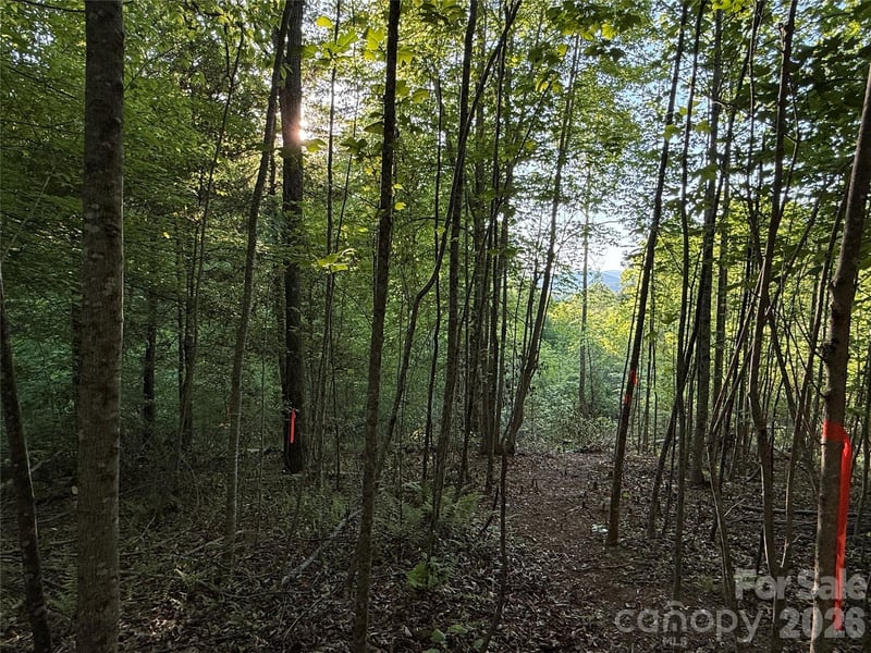 Lot # 7 West Legacy Drive Apt 7, Hendersonville, NC -  - $165,000