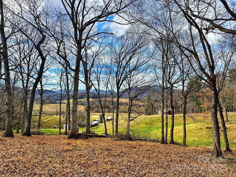 99999 Old Newfound Road, Leicester, NC -  - $240,000