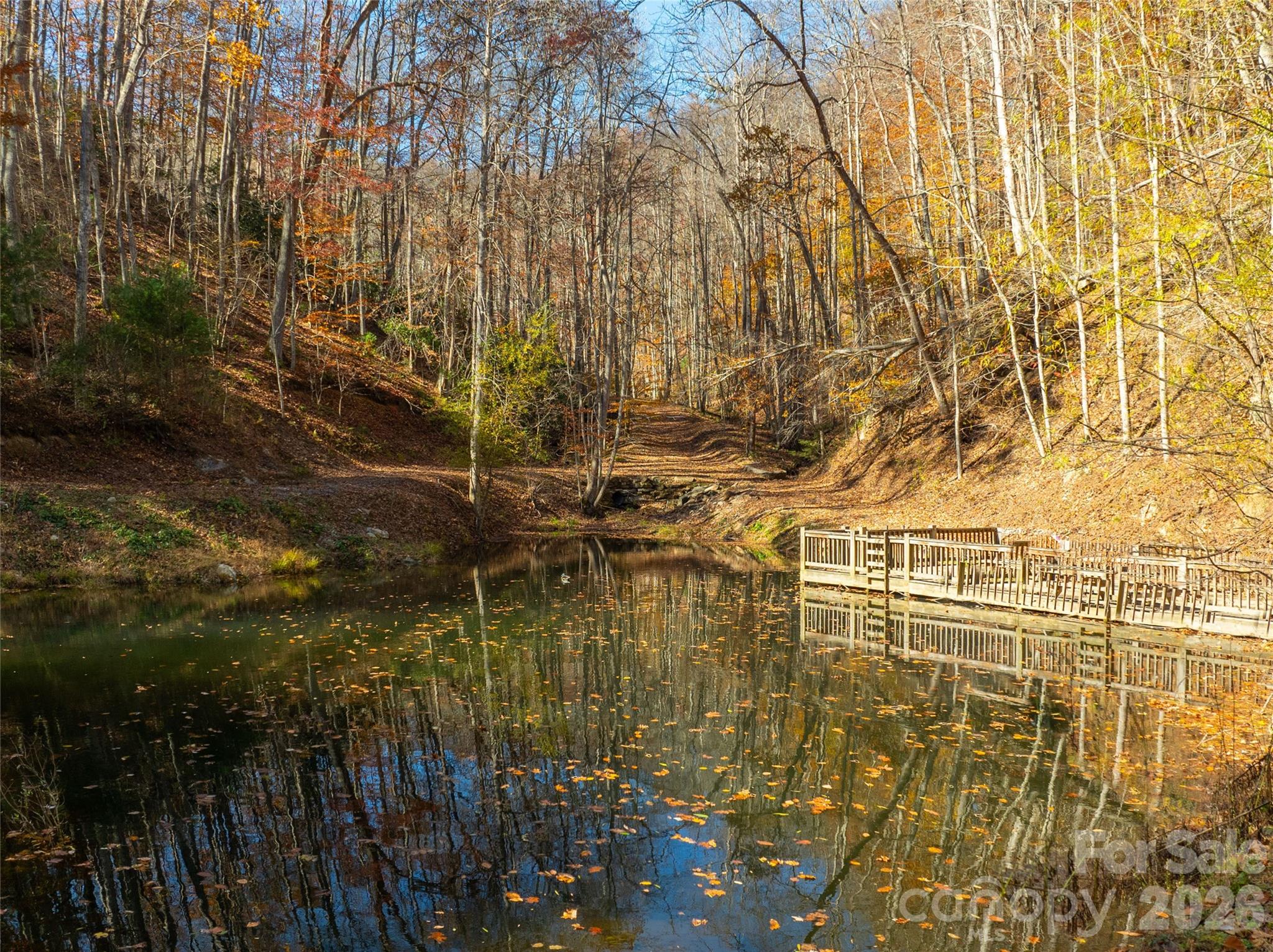 2736 White Oak Flats Road, Green Mountain, NC. property listing photo