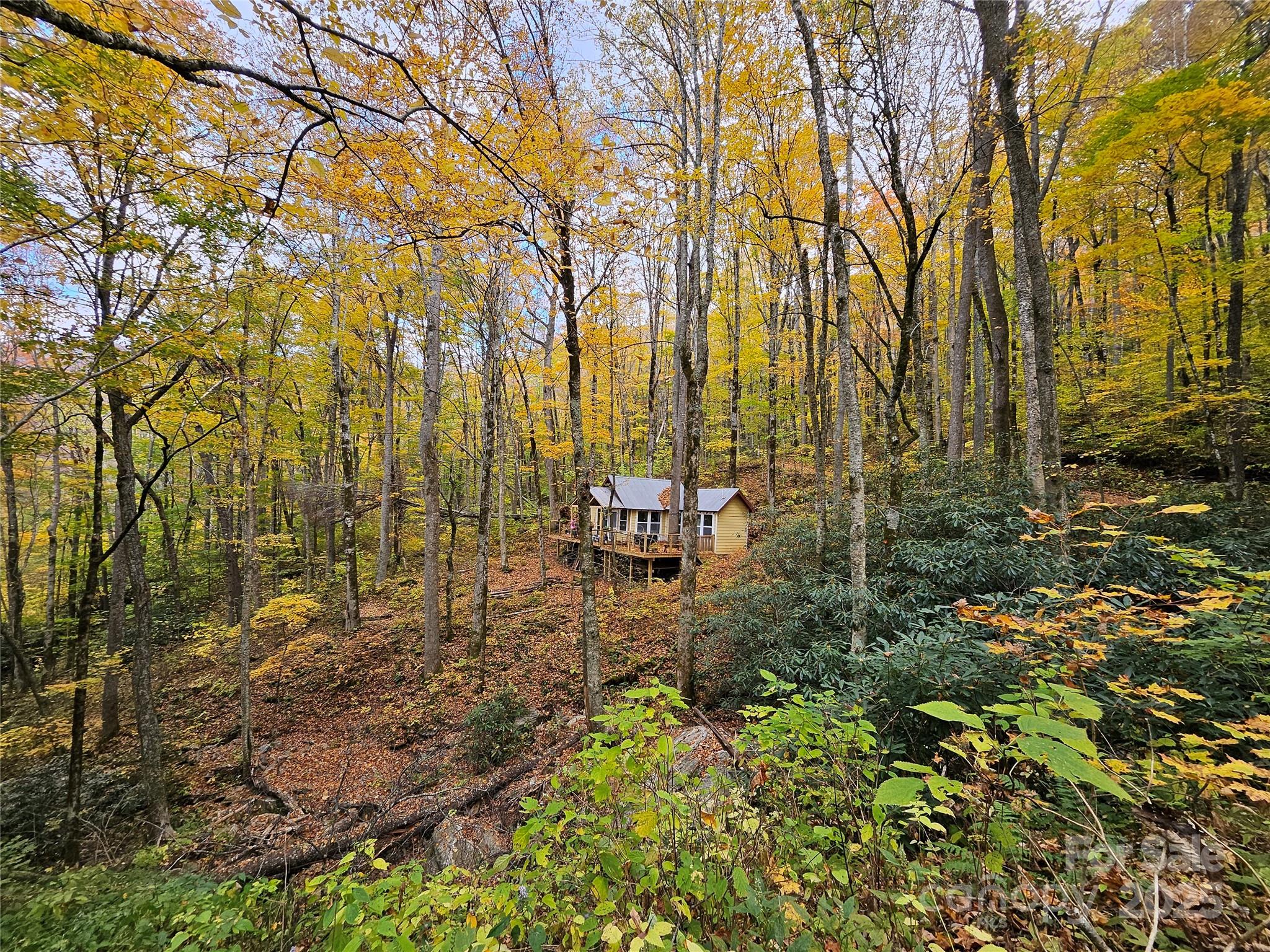 25 Hollow Log Road, Burnsville, NC. property listing photo