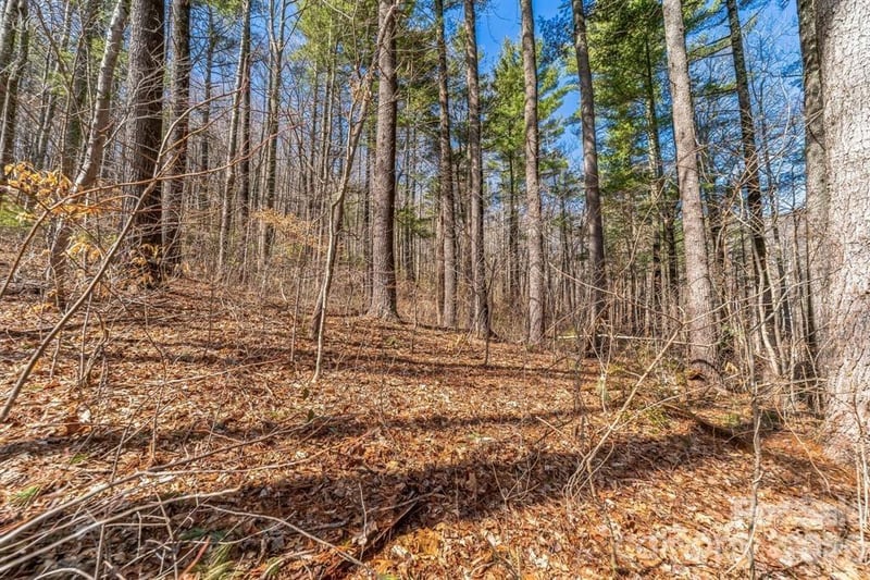 99999 Mill Road, Asheville, NC -  - $89,000