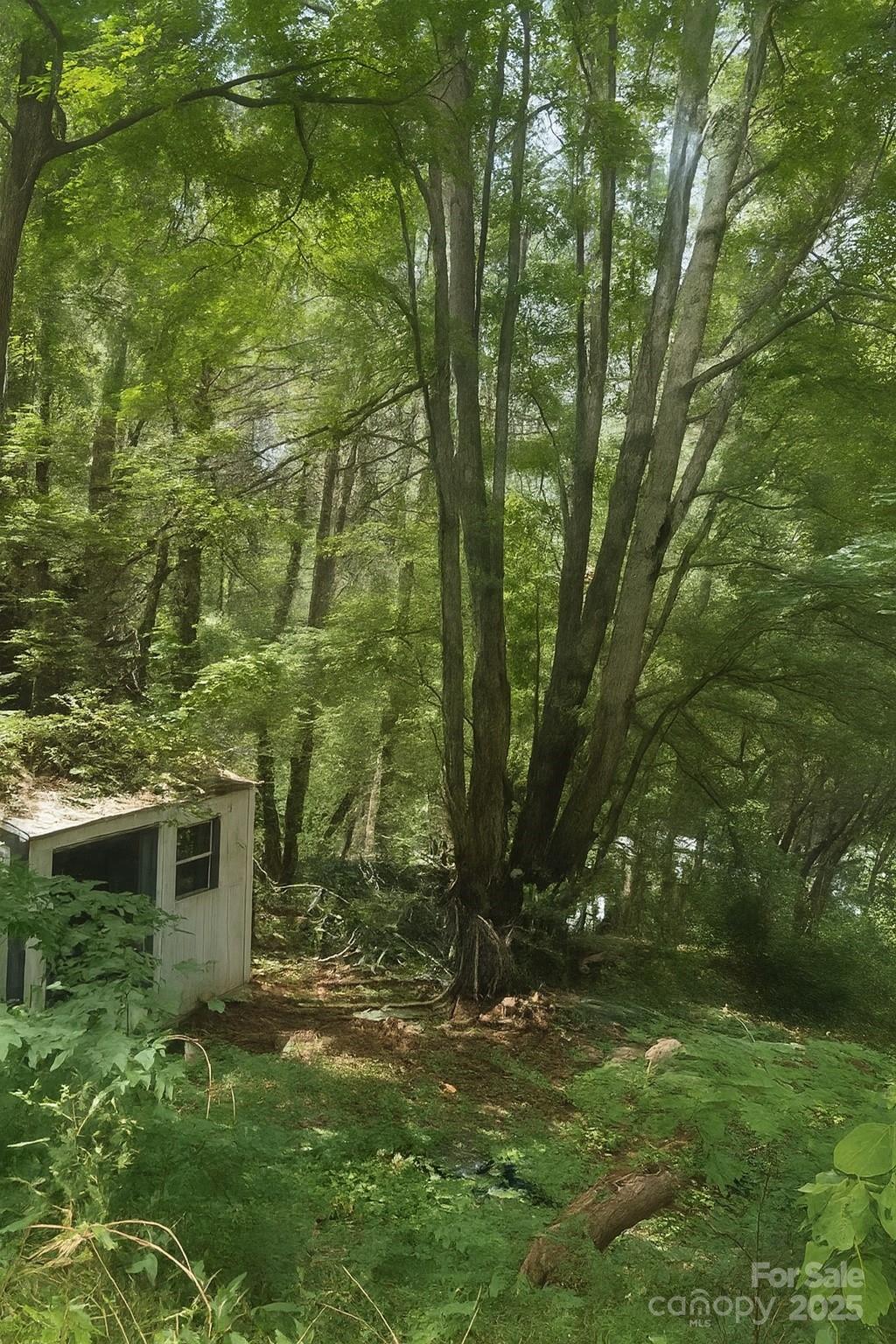 32 Windy Hill, Canton, NC. property listing photo