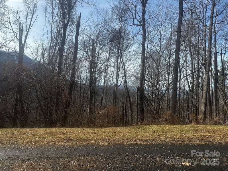 0 Wild Turkey Road Apt 21, Bakersville, NC -  - $95,000