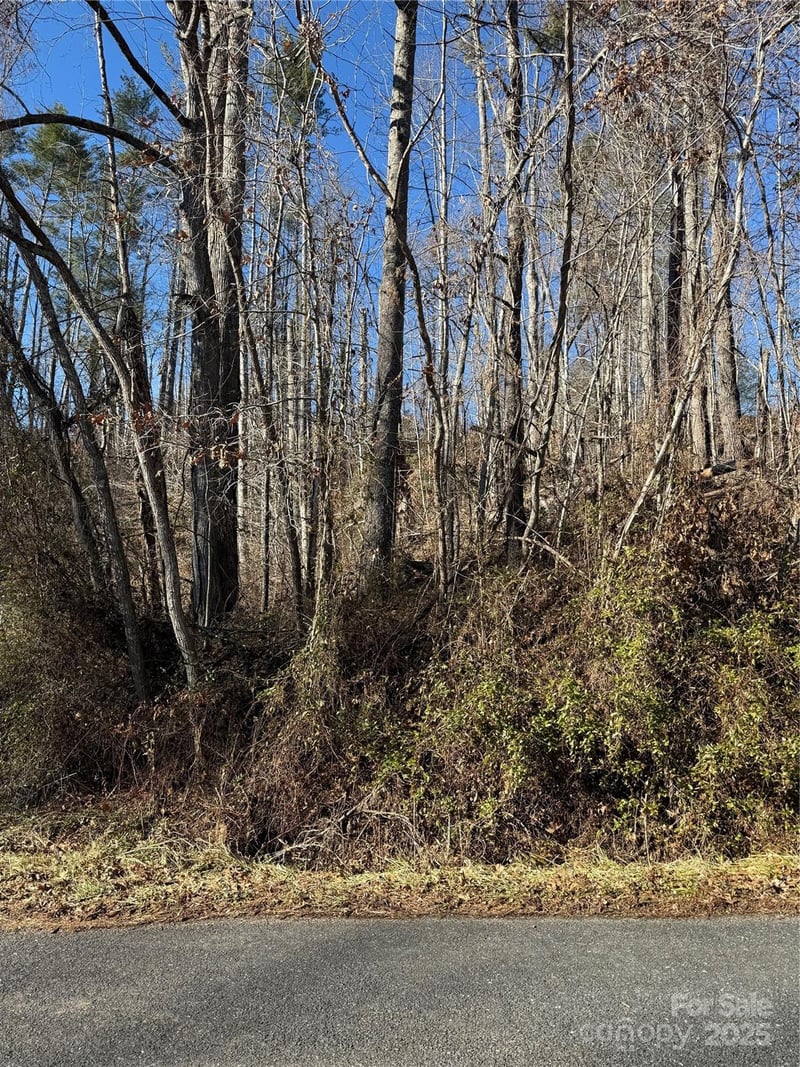 TBD George McKinney Circle, Spruce Pine, NC -  - $37,000