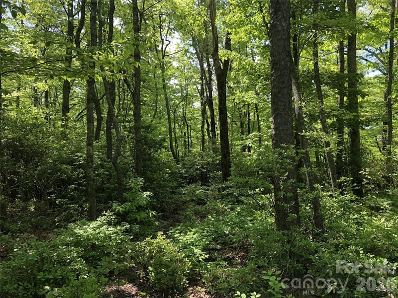 0 Millard Crossing Apt 15, Hendersonville, NC -  - $40,000