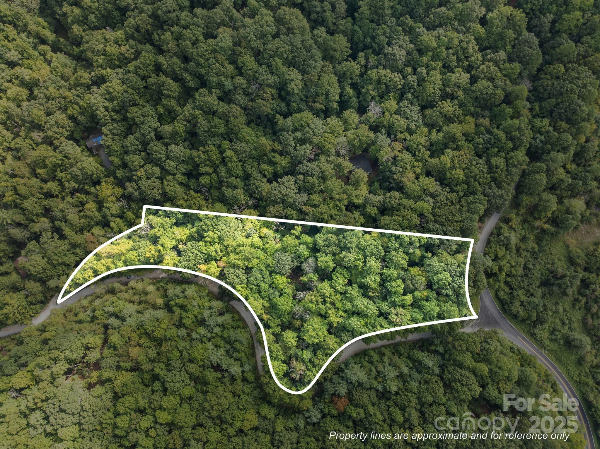 1 Rixhaven Drive, Saluda, NC. property listing photo