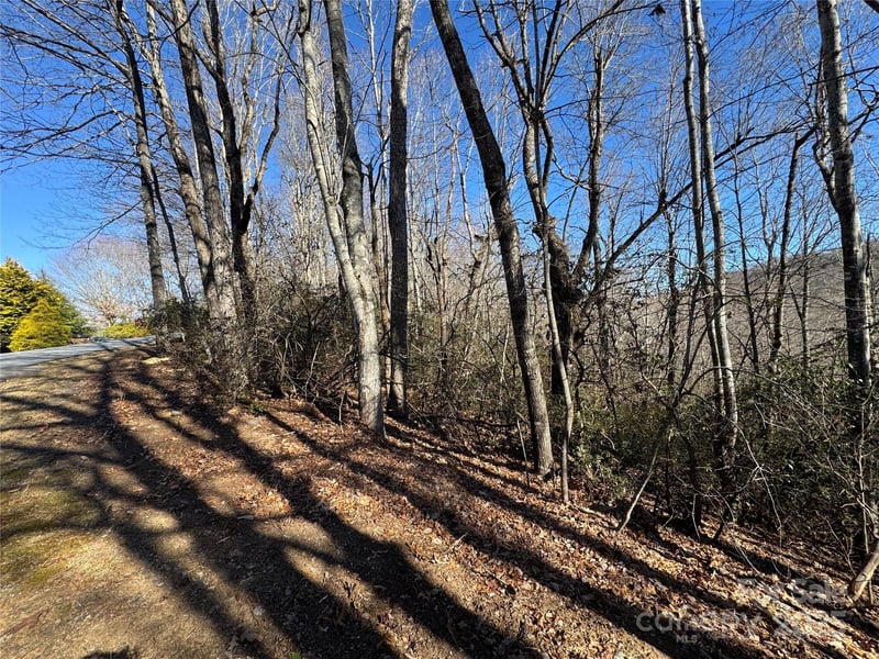 Lot 19 Udoque Court, Brevard, NC -  - $65,000