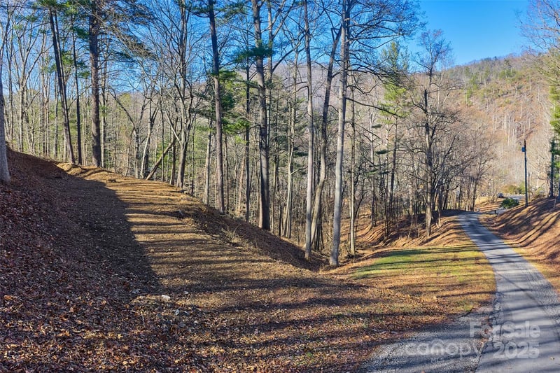 15 Beech Tree Lane, Asheville, NC -  - $149,000