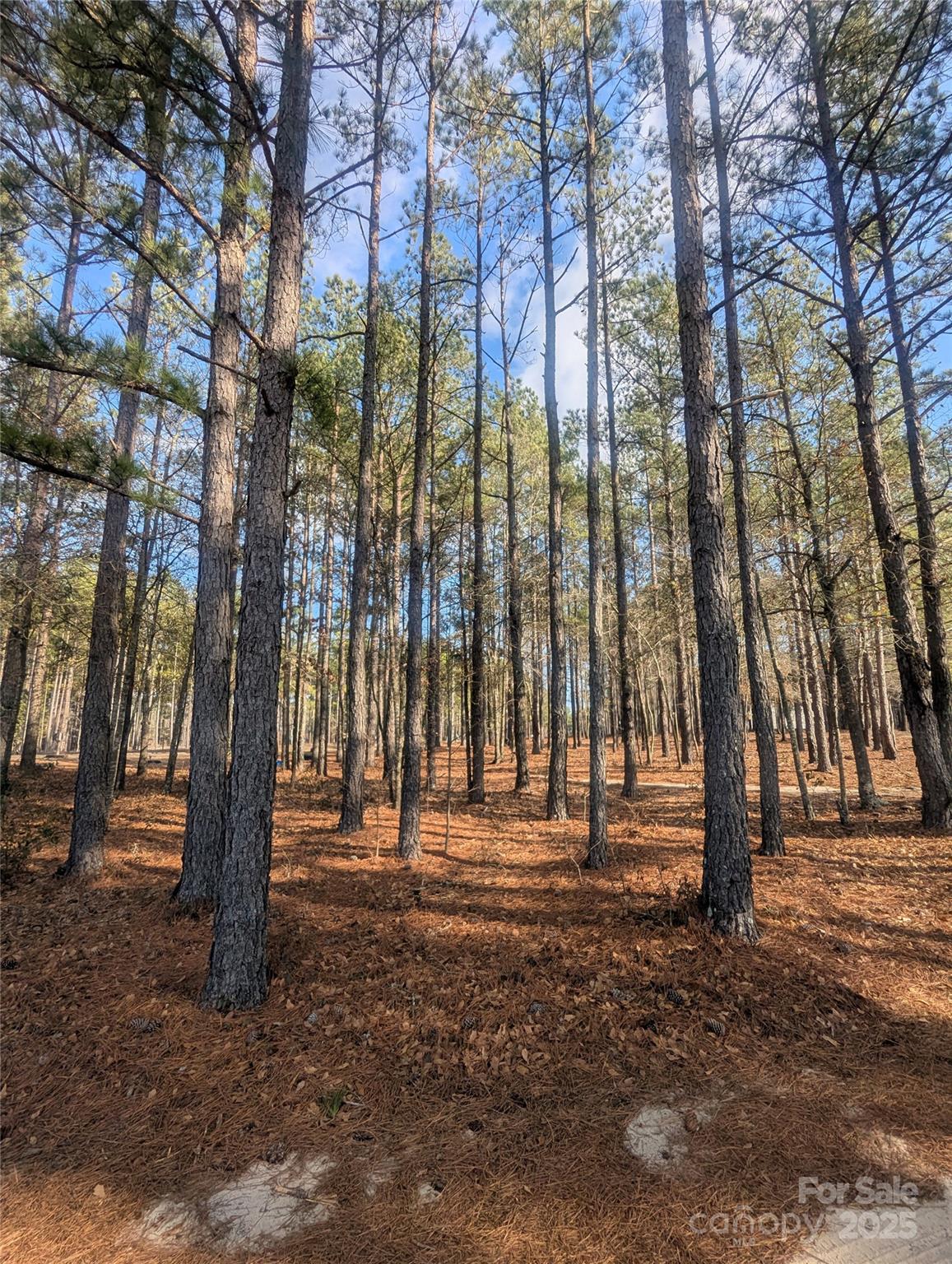 482 Pine Road, Jefferson, SC. property listing photo