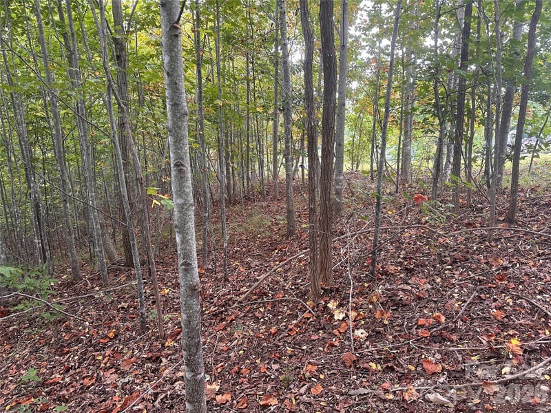 311 Scenic Vista Drive Apt 254, Nebo, NC -  - $45,000