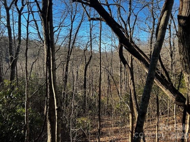9999 Tessie Lane, Black Mountain, NC -  - $175,000