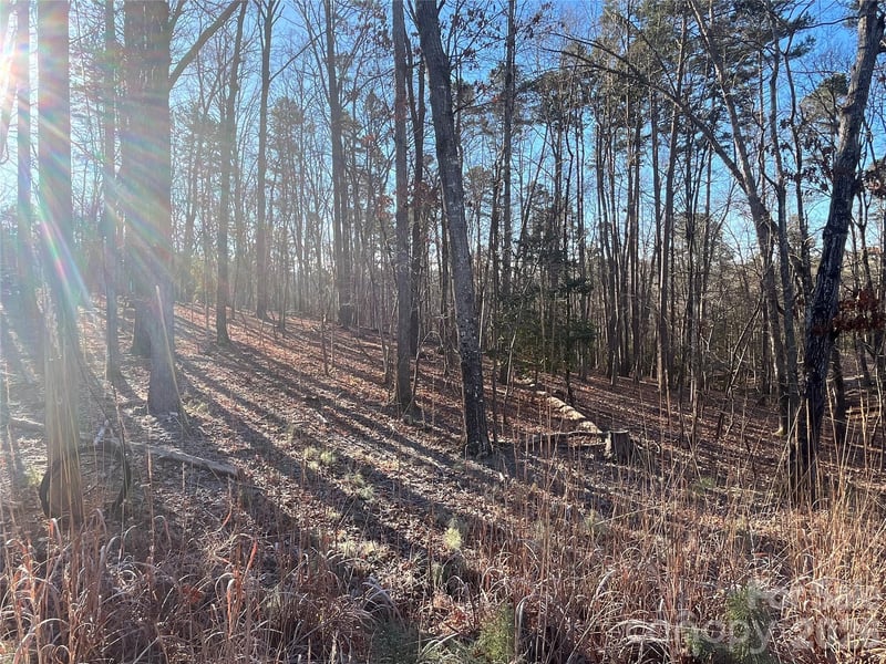 1866 Fairfield Road, Mount Gilead, NC -  - $42,500