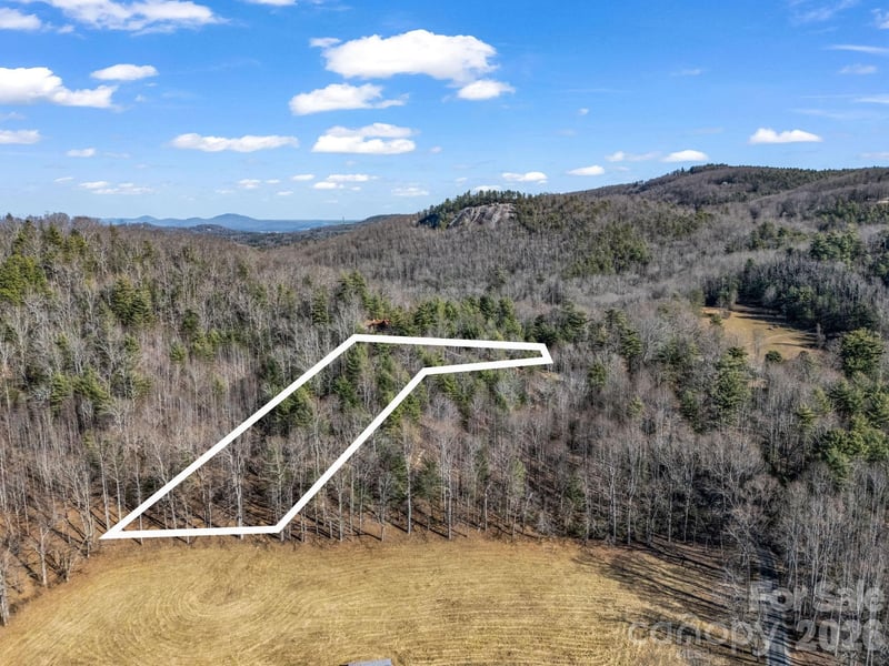 181 Justamere Lane, Hendersonville, NC -  - $150,000
