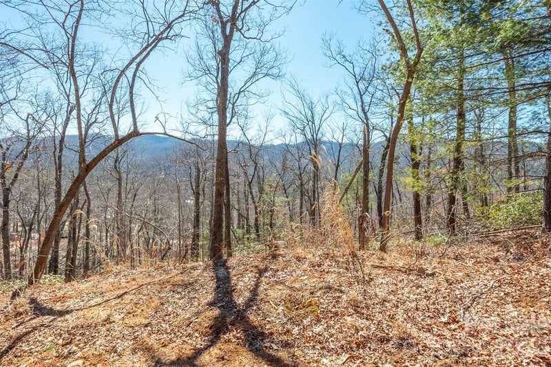 107 Bartram Way, Black Mountain, NC -  - $125,000