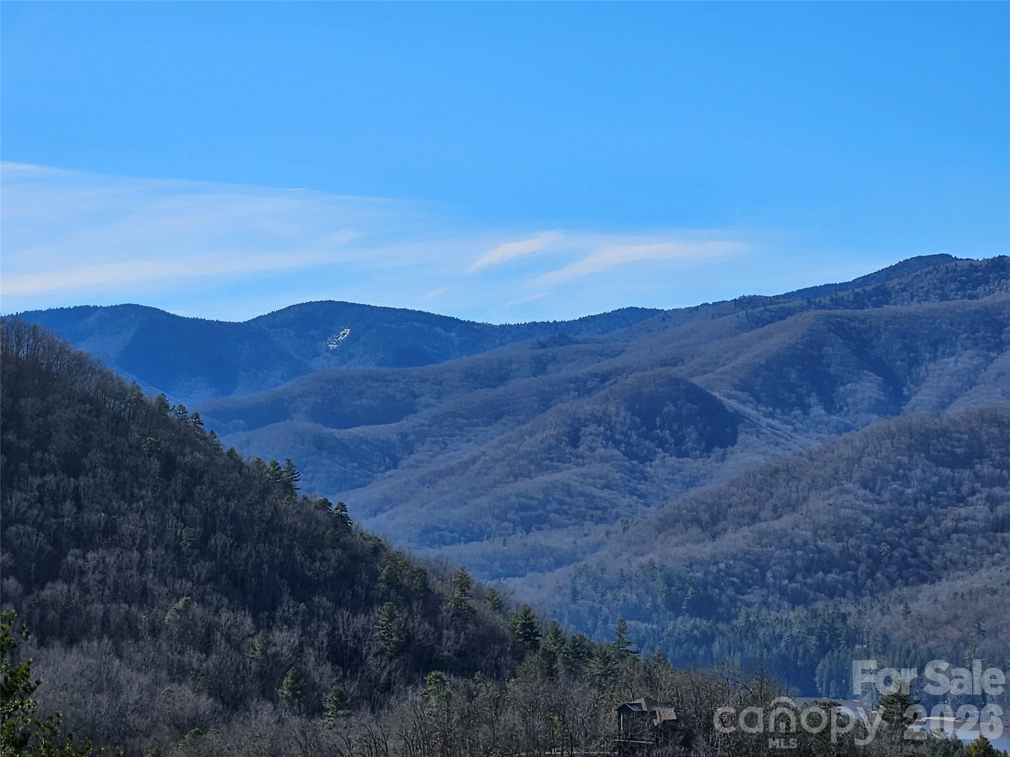 000 Blue Vista Road, Canton, NC. property listing photo