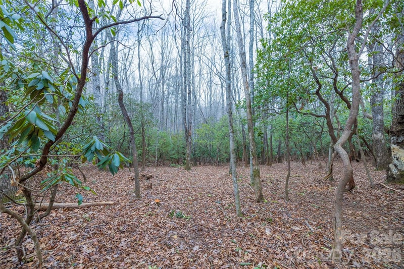 Tract 1 Turtle Ridge Trail, Mills River, NC -  - $225,000