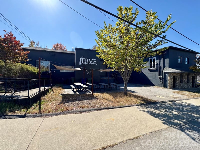 255 Short Coxe Avenue, Asheville, NC -  - $4,313/mo