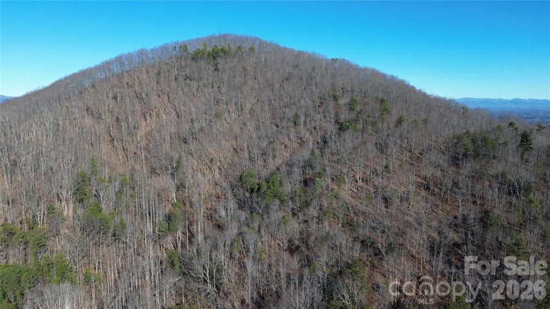 9999 Sealey Lane, Leicester, NC -  - $299,999