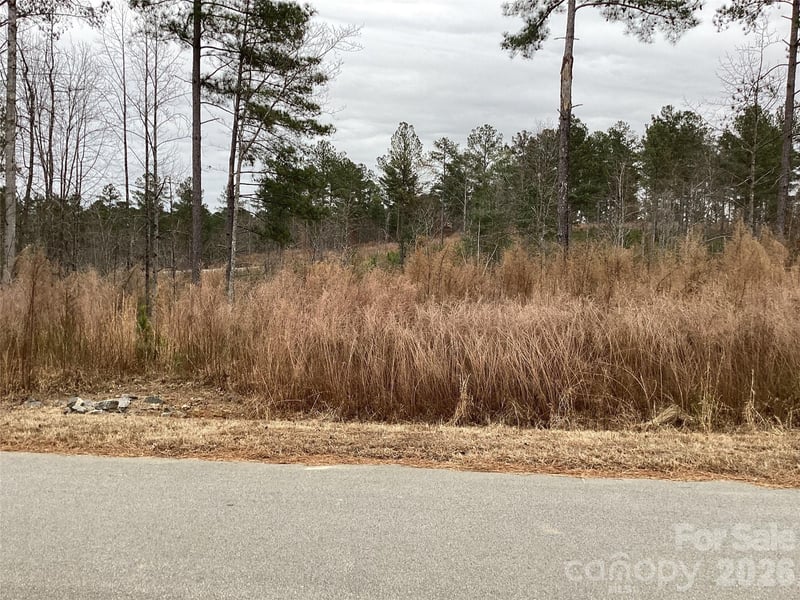 2146 Pikes Peak Ridge Apt 154, Connelly Springs, NC -  - $179,900