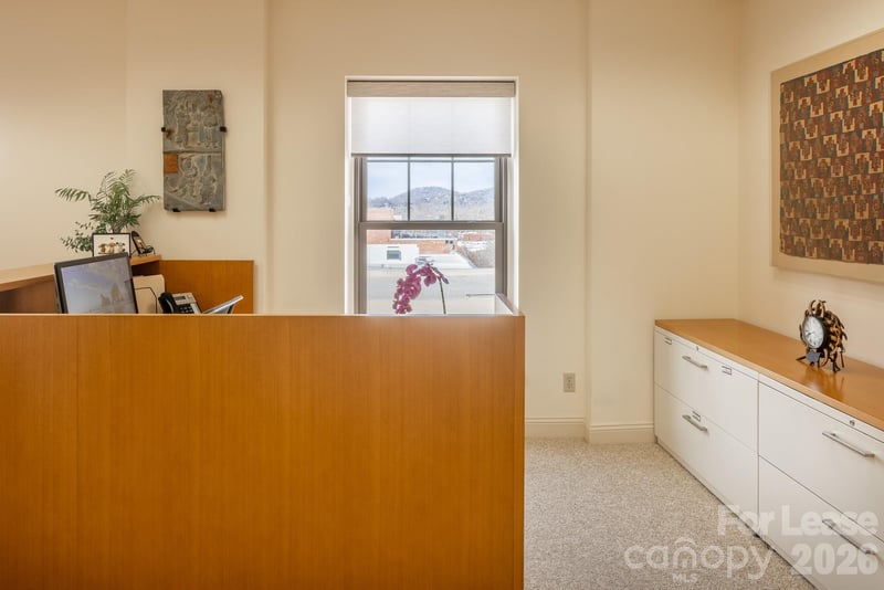 56 College Street Apt 301, Asheville, NC -  - $1,650/mo