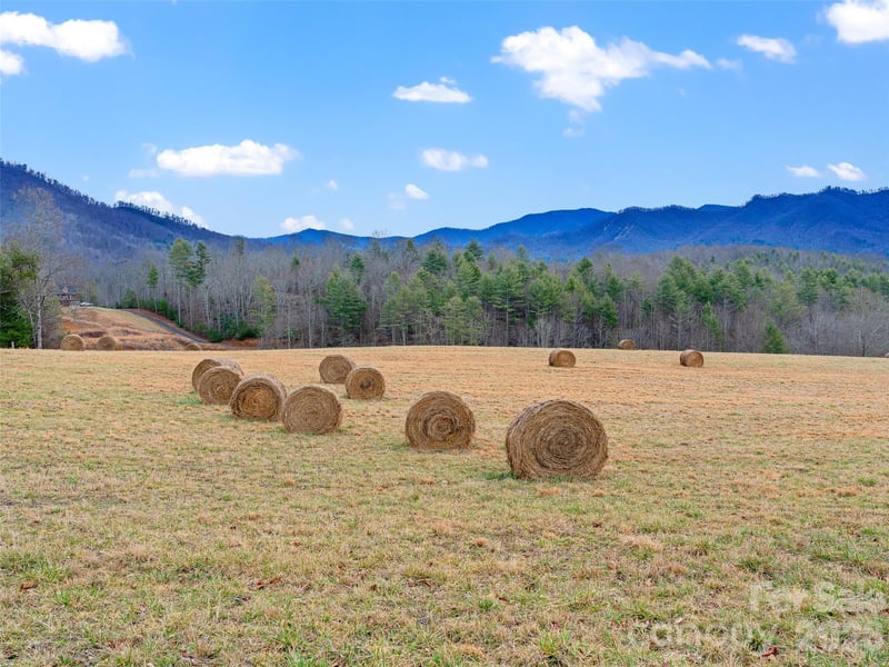 784 Green Young Cemetery Road, Bakersville, NC -  - $500,000