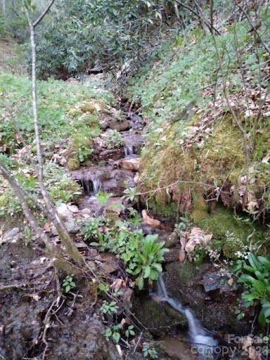 617 Barkers Creek, Whittier, NC. property listing photo