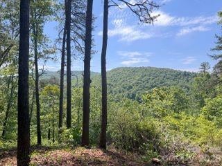 0 GREEN RIVER Road, Zirconia, NC -  - $1,485,000