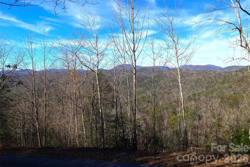 TBD Ruffed Grouse Road L045, Brevard, NC -  - $55,000