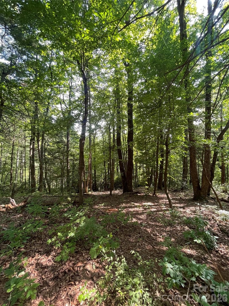 Lot # 21 Haverhill Court Apt 21, Flat Rock, NC -  - $155,000