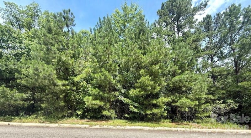 1016 Lyndon Drive, Lancaster, SC -  - $50,000