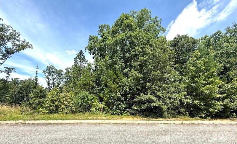 1012 Lyndon Drive, Lancaster, SC -  - $50,000
