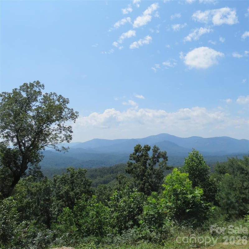 336 Willow Top Lane Apt 336, Lake Lure, NC -  - $44,900