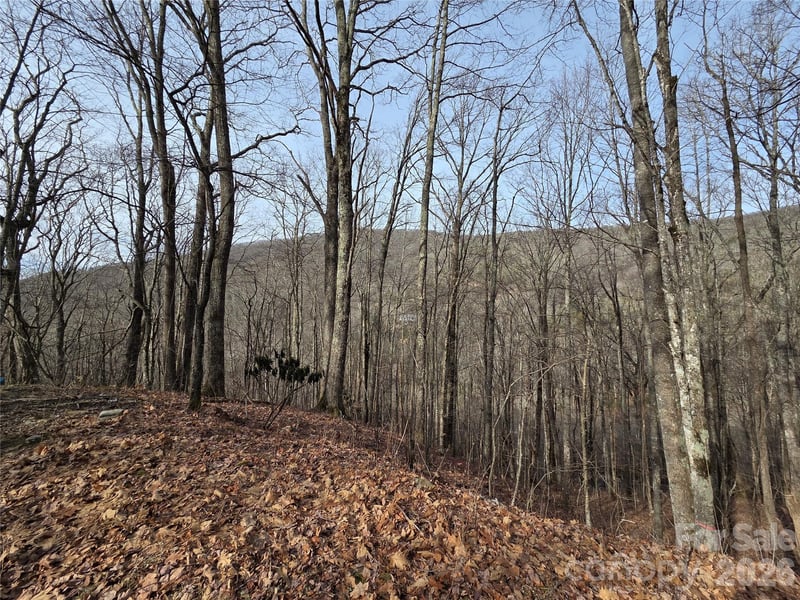 180 Goat House Way, Maggie Valley, NC -  - $239,000