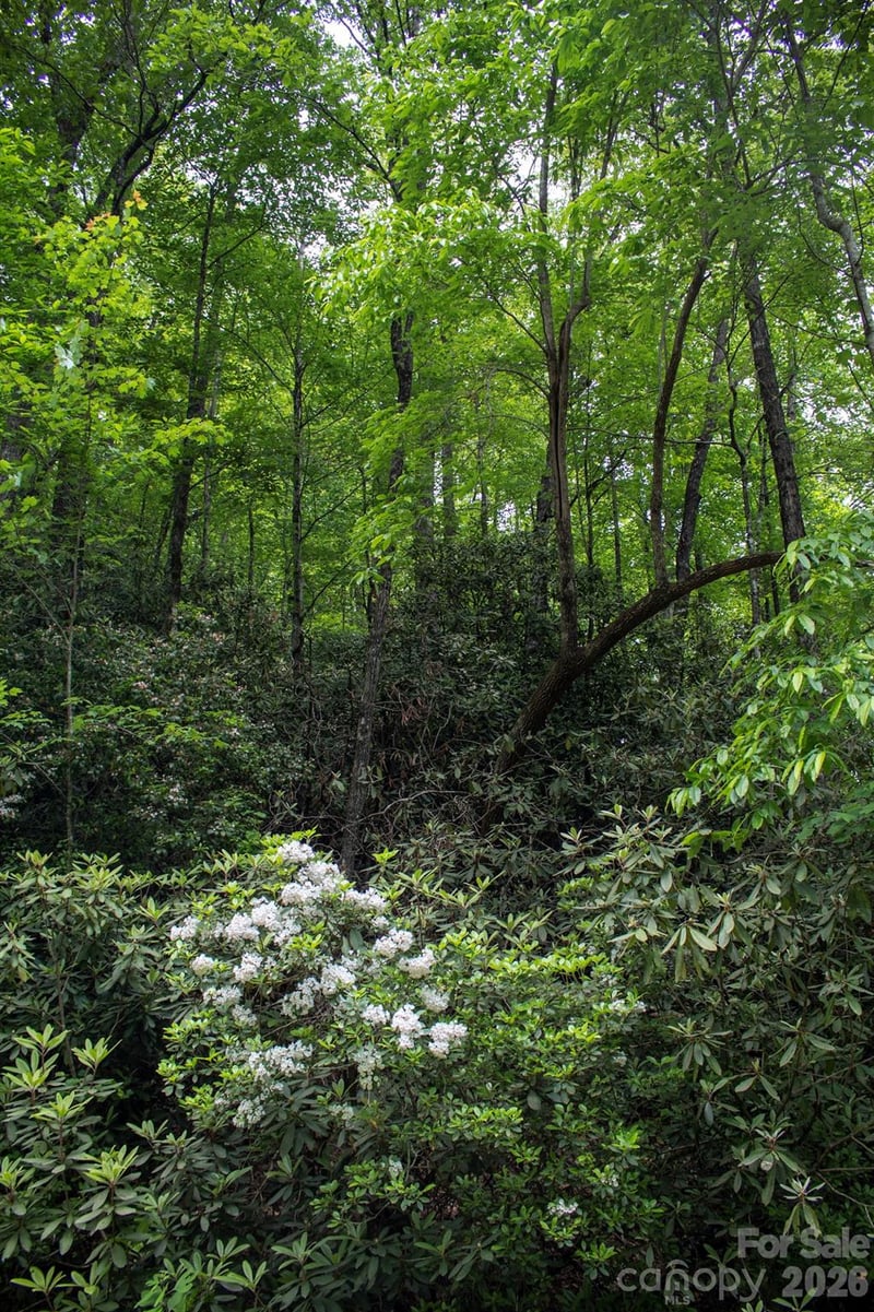 TBD Fox Den Road 57&59, Brevard, NC -  - $20,000