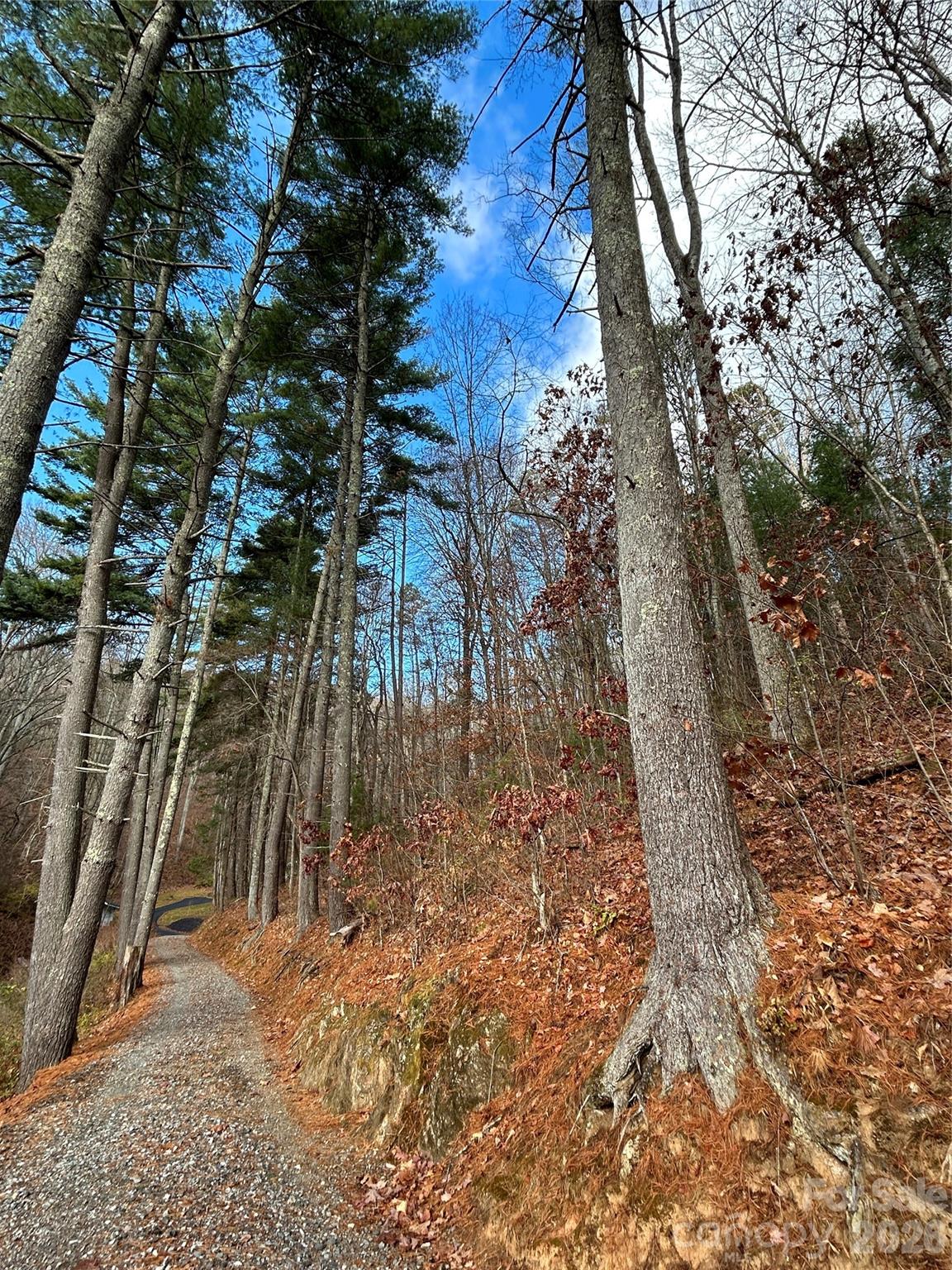 99999 Cowan Cove Road, Asheville, NC. property listing photo