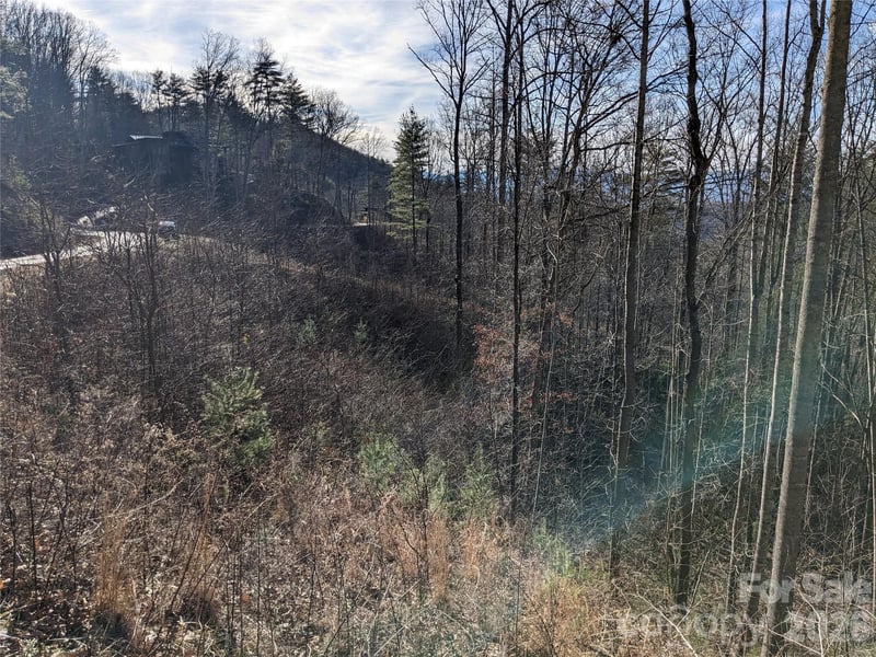 27 Bent Branch Lane Apt 10, Asheville, NC -  - $60,000