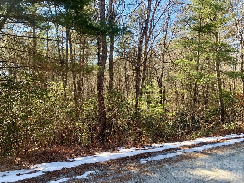 Lot 18 Oak Ridge Drive Apt 18, Brevard, NC -  - $15,500