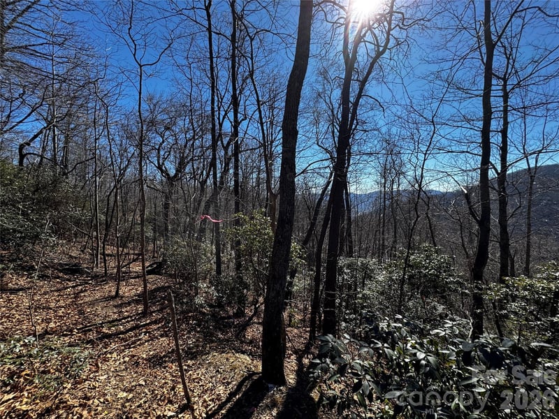 TBD Acacia Court Apt 936, Black Mountain, NC -  - $55,000