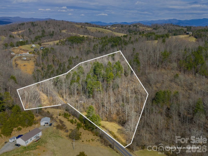 99999 Baileys Branch Road, Marshall, NC -  - $195,000