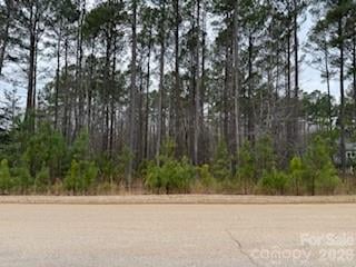 6191 Chimney Bluff Road, Lancaster, SC -  - $96,000