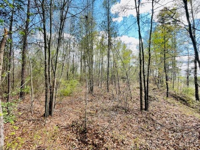 0000 Hwy 1 ByPass, Cheraw, SC -  - $124,900