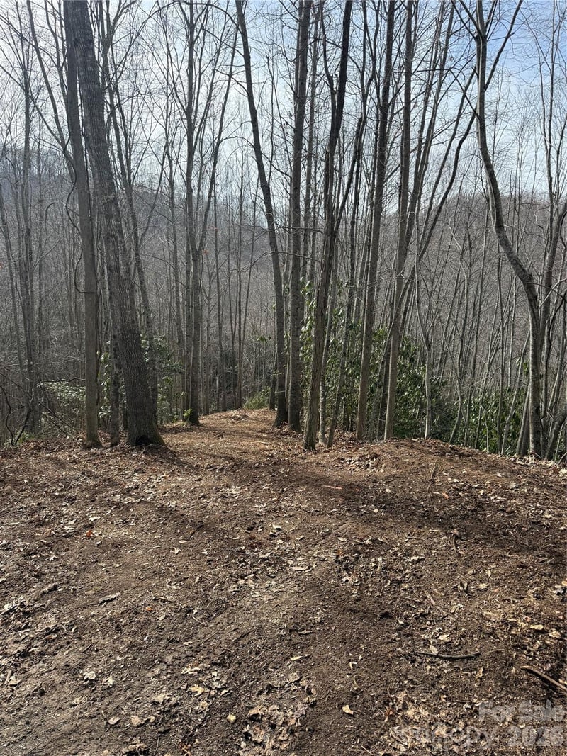 236 Down The Hill Road, Sylva, NC -  - $395,000