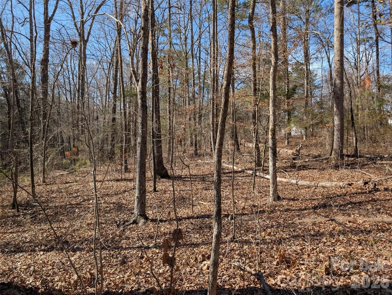 489 & 491 Mimosa Road 3 & 9, Rock Hill, SC -  - $89,000