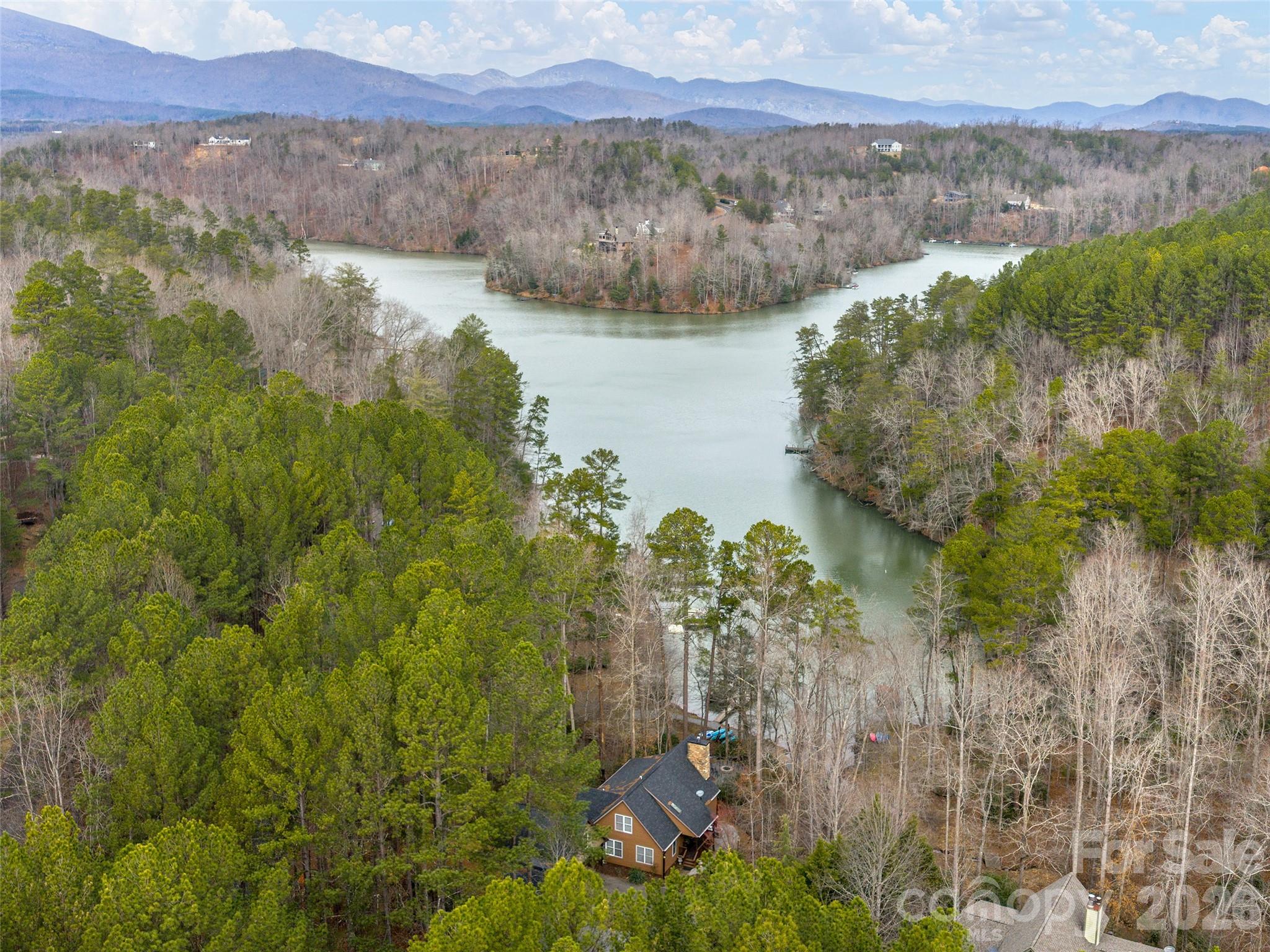 201 Hawk Ridge Drive, Mill Spring, NC. property listing photo