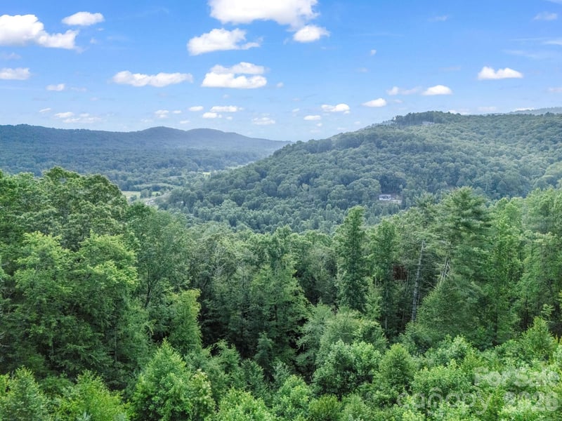 TBD Davenport Hills Road, Hendersonville, NC -  - $118,500