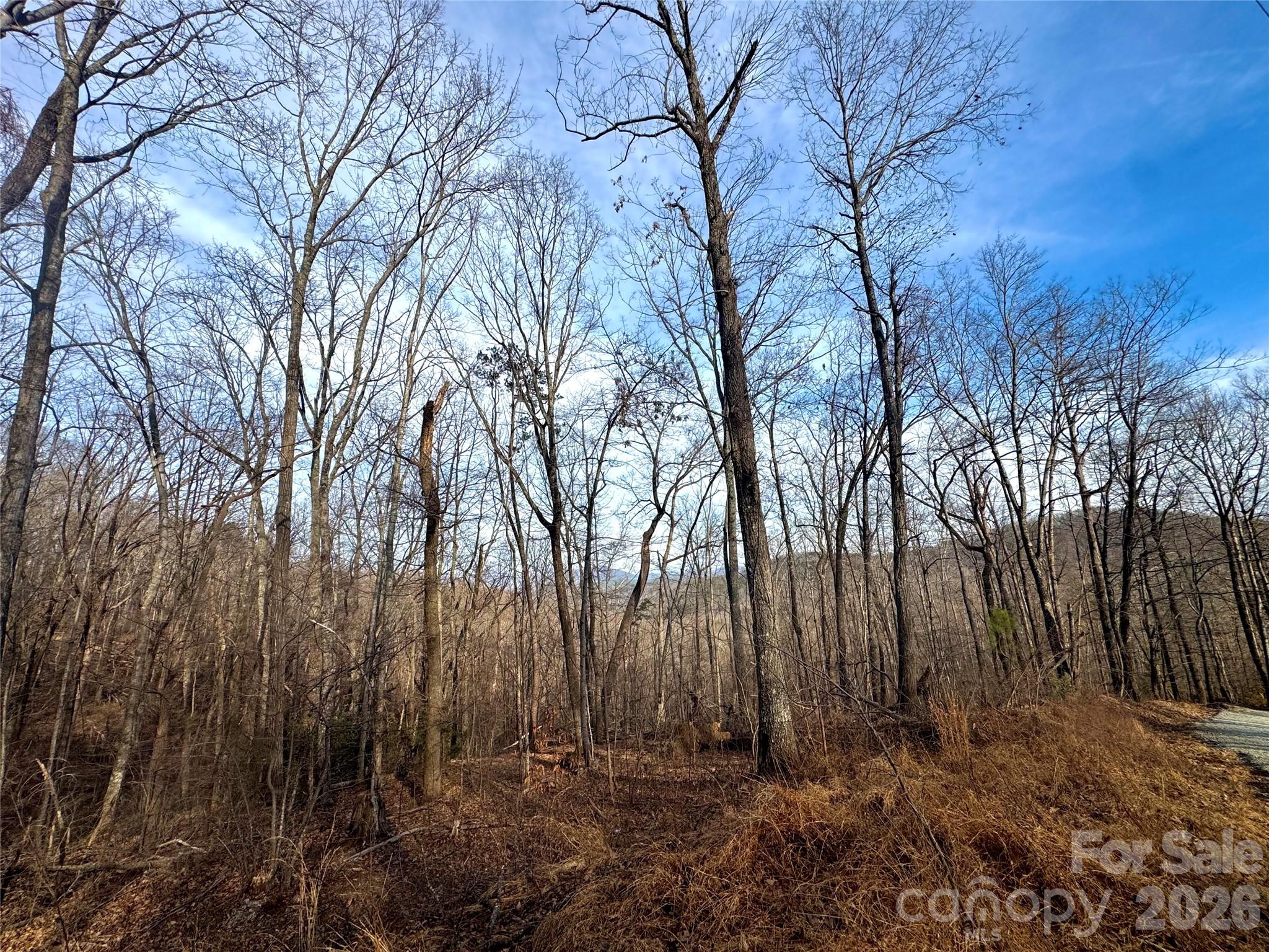 0 Peartree Drive, Lake Lure, NC. property listing photo