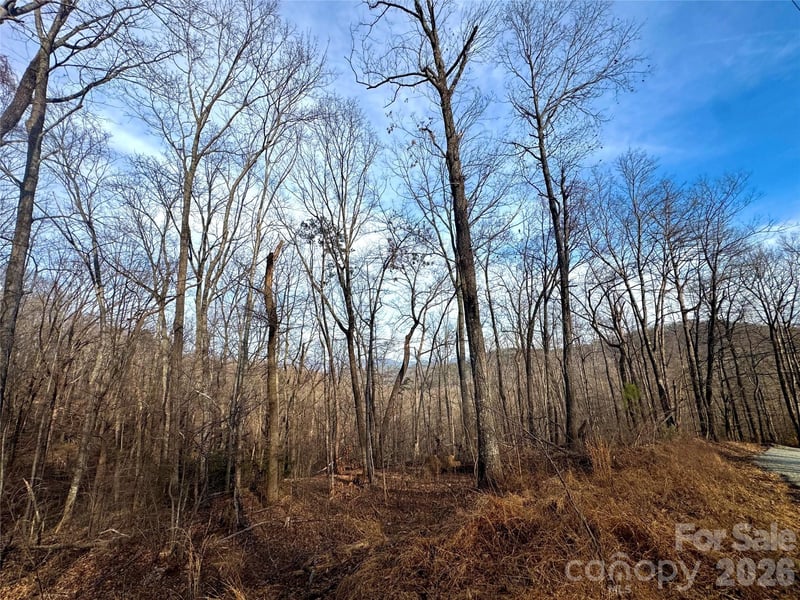 0 Peartree Drive, Lake Lure, NC -  - $24,000